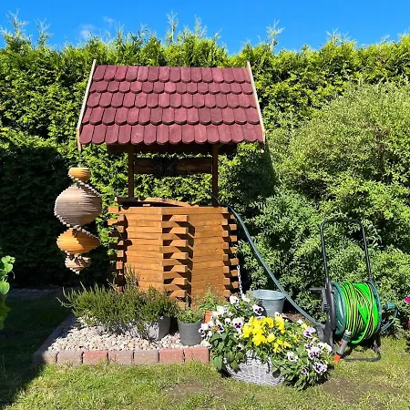 Zorza * ダルウォボ