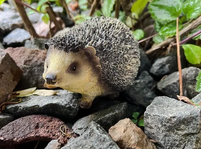 Zorza Сasa de vacaciones *